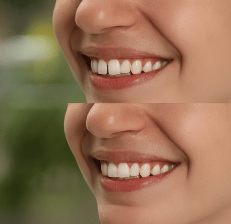Arte Dental
