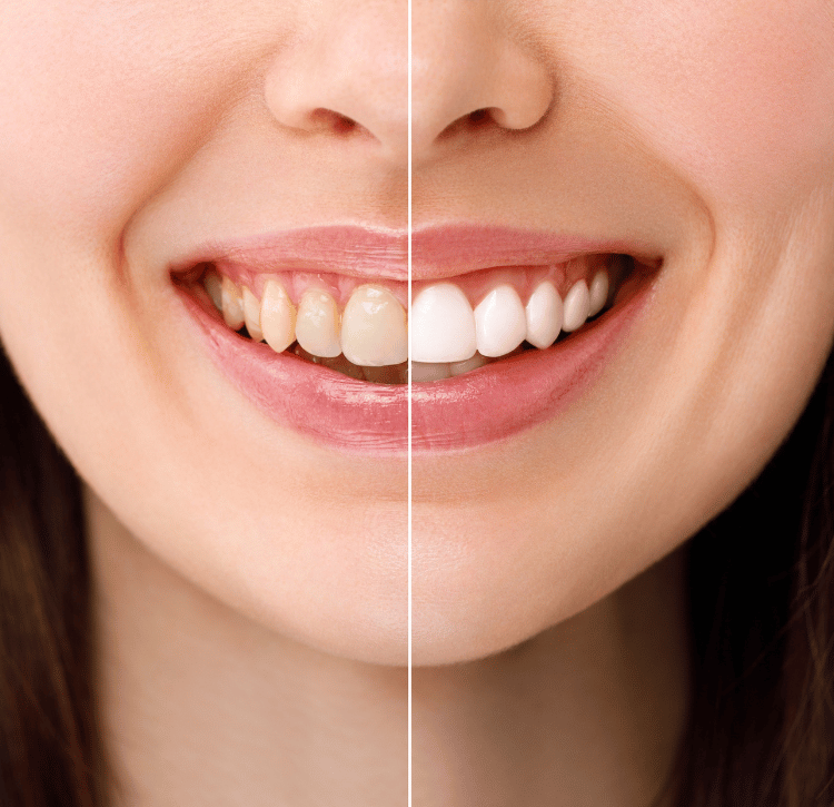Arte Dental