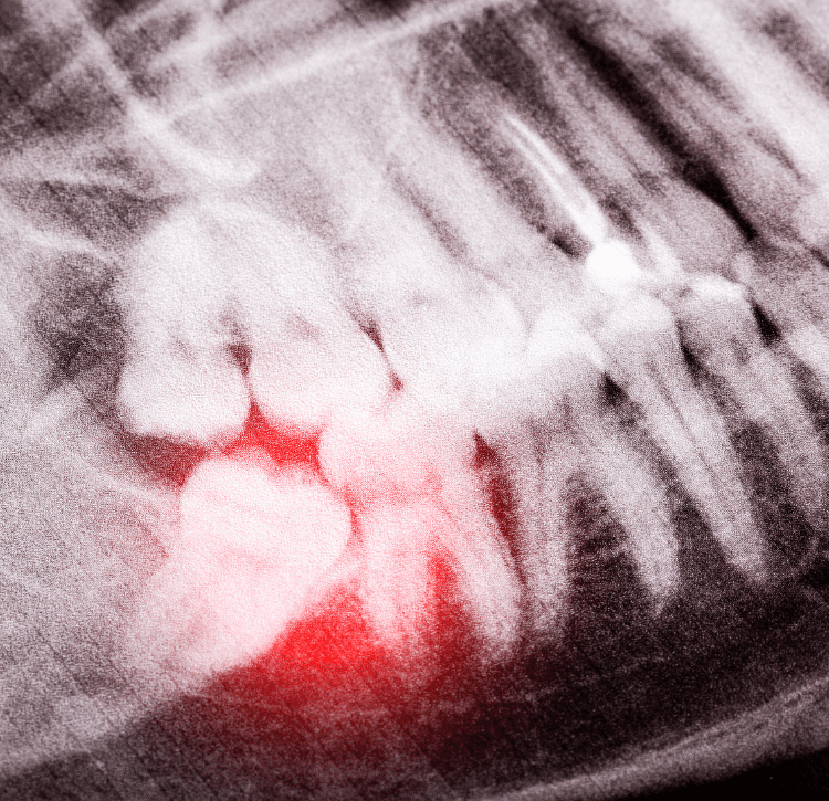 Arte Dental